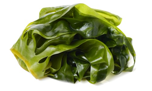绿豆薏米红枣粥功效-【绿豆薏米南瓜粥的功效与作用禁忌】绿豆薏米红枣汤功效 - 绿豆薏米南瓜粥的功效网