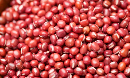 绿豆薏米南瓜粥的功效和作用-【绿豆薏米南瓜粥的功效与作用禁忌】绿豆薏米红枣汤功效 - 绿豆薏米南瓜粥的功效网