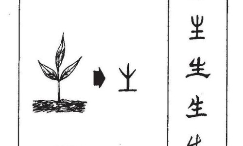 绿豆薏米南瓜粥的功效与作用禁忌-【绿豆薏米南瓜粥的功效与作用禁忌】绿豆薏米红枣汤功效 - 绿豆薏米南瓜粥的功效网